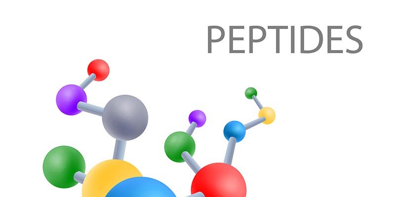 Peptide